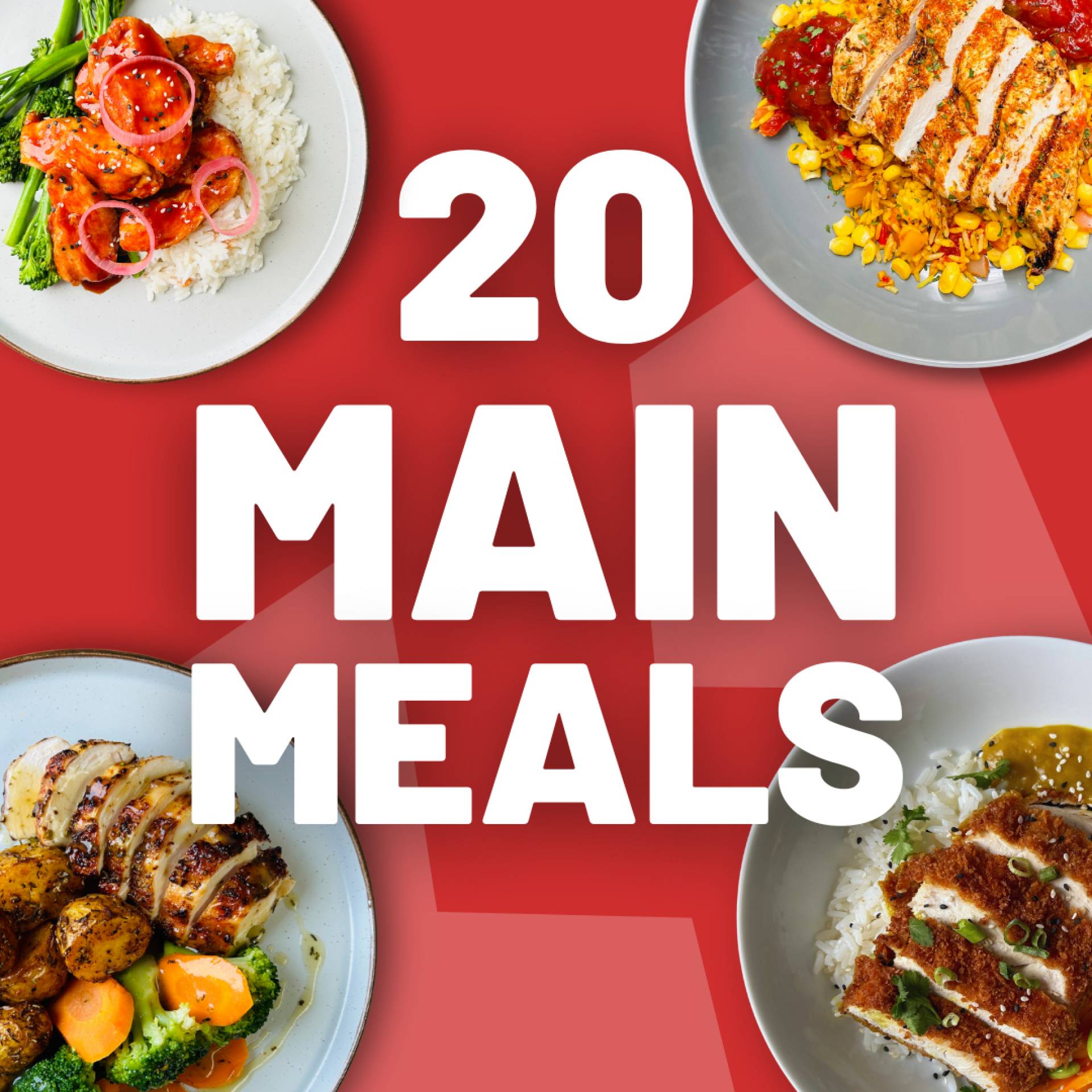 20 x Main Meals